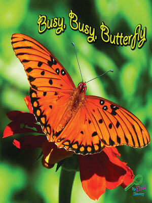 cover image of Busy, Busy Butterfly